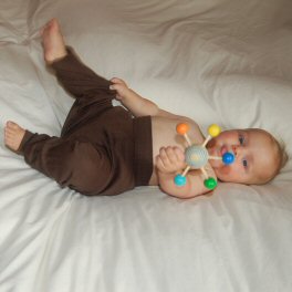 Chocolate Trousers in Silk and Wool