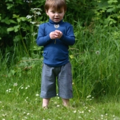 Kavi Shorts in Organic Cotton