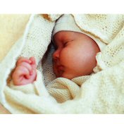 Merino wool