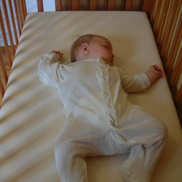 Organic Flat Sheet