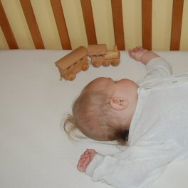 Organic Fitted Sheet