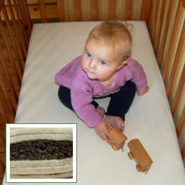 Organic Cot Mattress With Wool