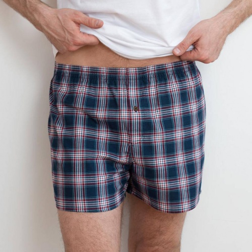 2-Pack Men's Flannel Boxer Shorts in Organic Cotton 2-Pack Men's Flannel Boxer Shorts in Organic Cotton