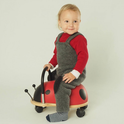 Pure Wool Fleece Dungarees Pure Wool Fleece Dungarees