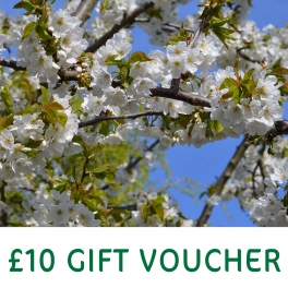 Ten Pound Gift Voucher Ten Pound Gift Voucher