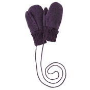 Boiled Wool Fleece Gloves