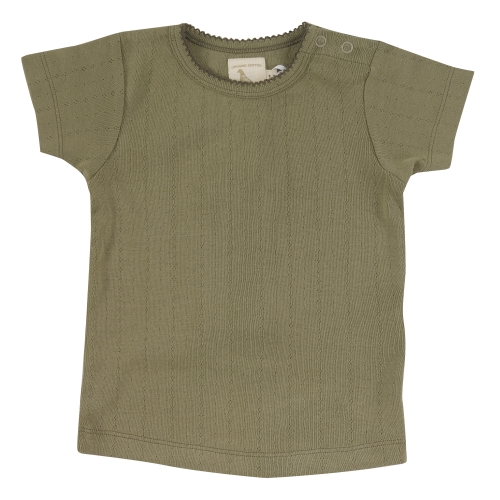 Short Sleeved Organic Cotton Pointelle Tee Shirt [Pointelle T-shirt