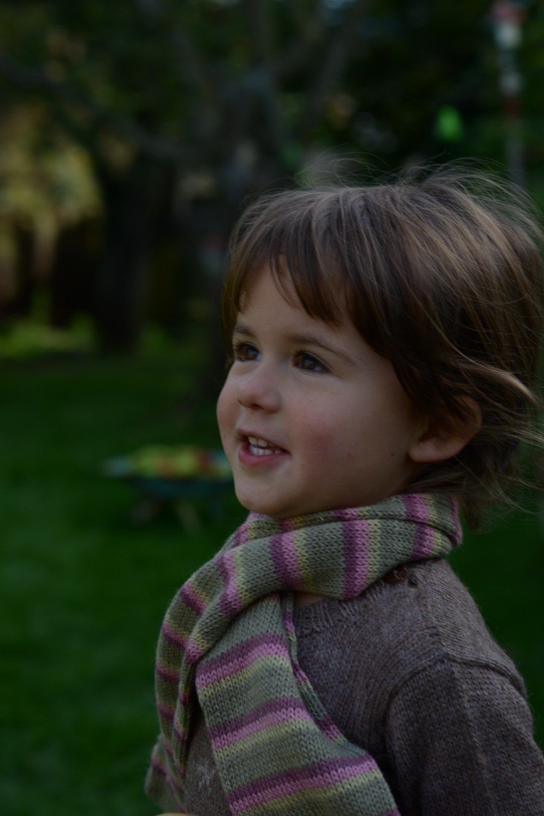 How Merino Wool Helps Your Family Sleep Well