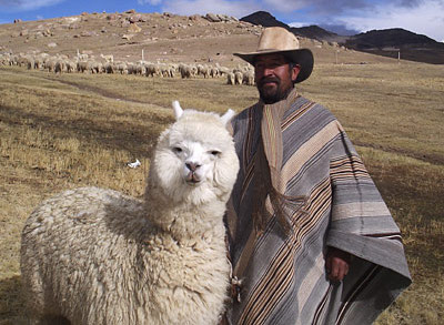 Alpaca taken by Patrick Furlong