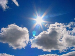 Clothes moths don't like sunlight Hang your wool clothes in the sun