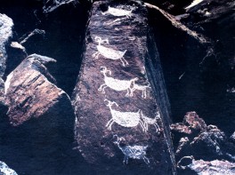 Sheep Rock Art from Coso