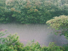 rain on river